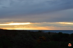 DSC_3966 - Copie.JPG