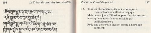 Patrul trésor du coeur - Copie.jpg